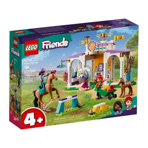 41746 Horse Training