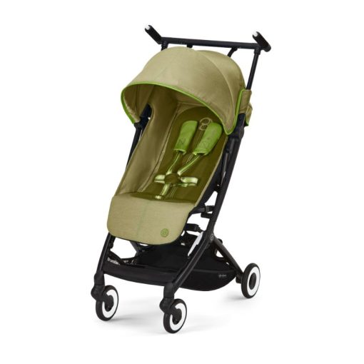 Libelle Nature Green