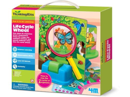 Life Cycle Wheel