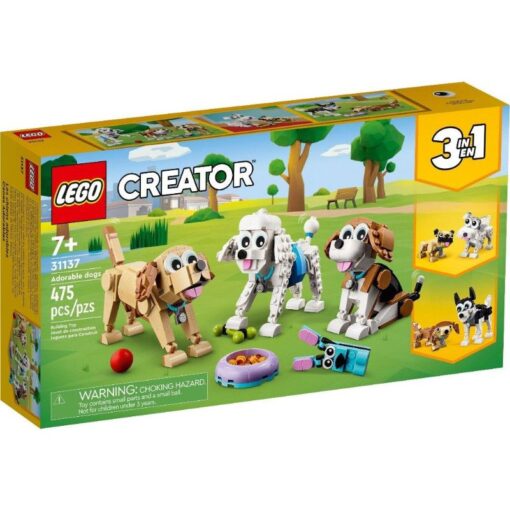 31137 Adorable Dogs